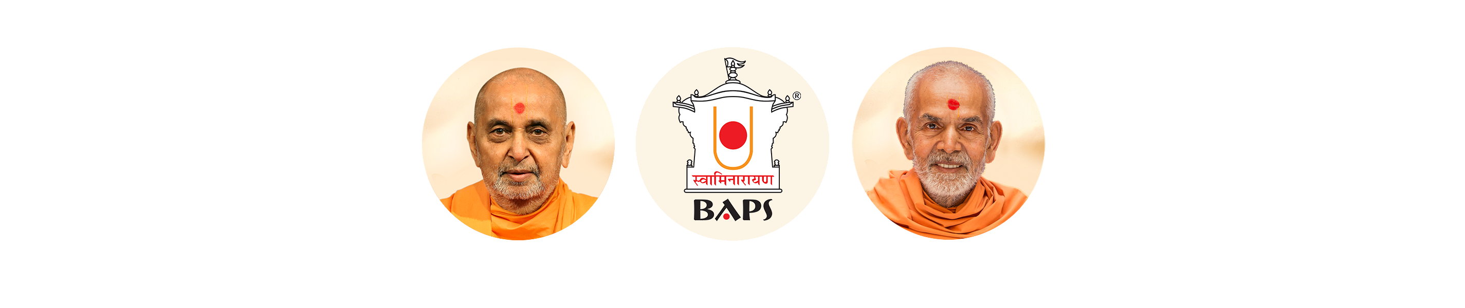 BAPS footer